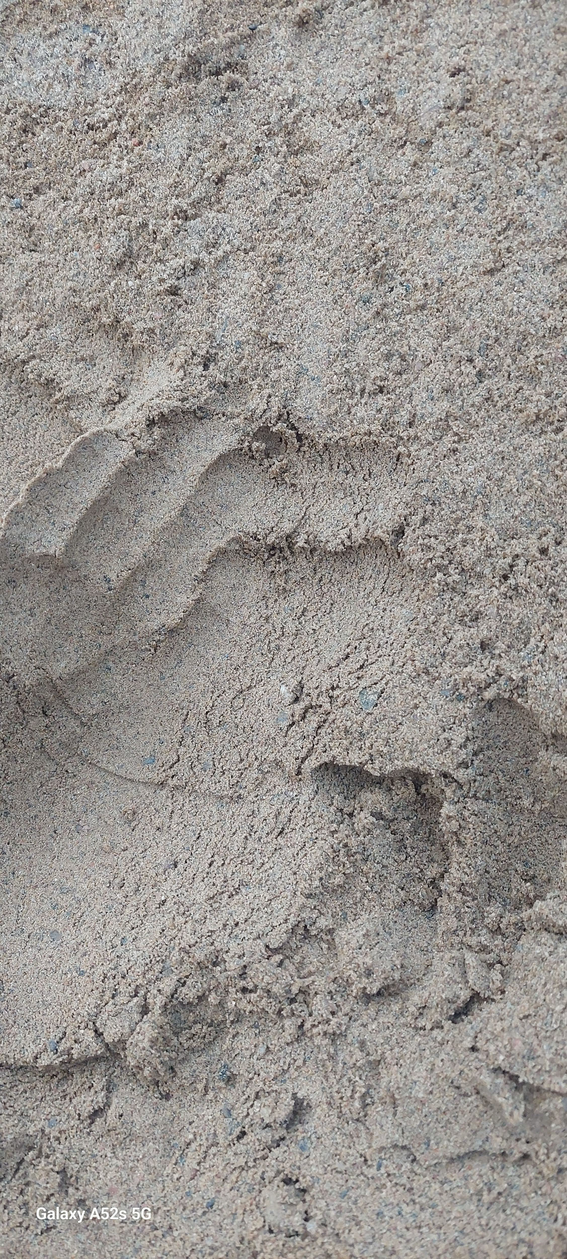 Sandlådesand